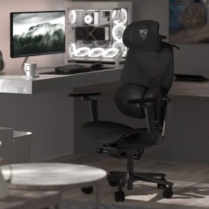 Thunderx3 FLEX PRO Ergonomic Chair - Mesh Black