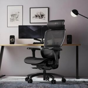 Thunderx3 XTC PRO Ergonomic Mesh Chair - Mesh Black